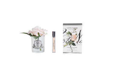Single Rose - Clear Glass - Champagne Pink - GMR15 (Carton of 4)